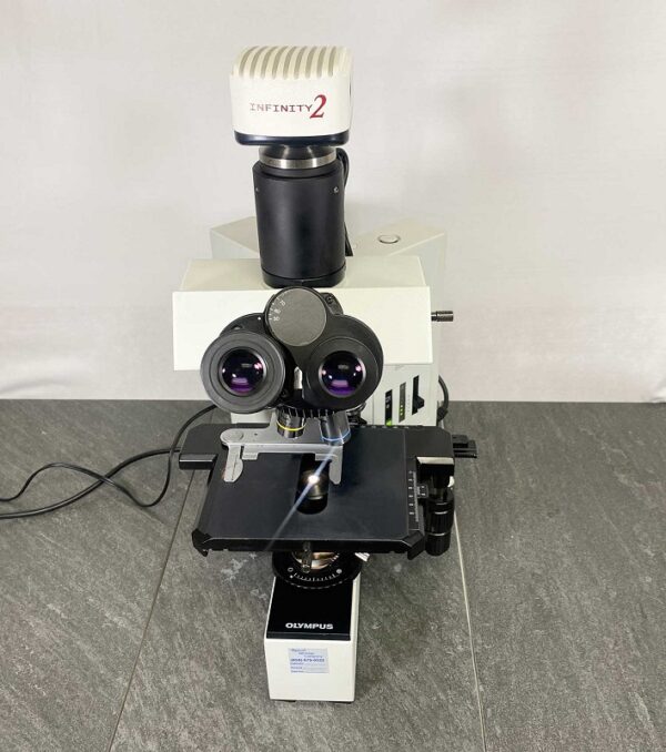 olympus bx40 microscope